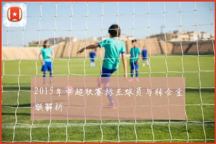 2015年中超联赛标王球员与转会金额解析