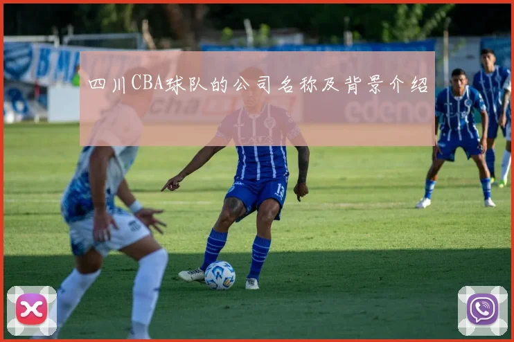 四川CBA球队的公司名称及背景介绍