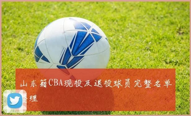 山东籍CBA现役及退役球员完整名单整理
