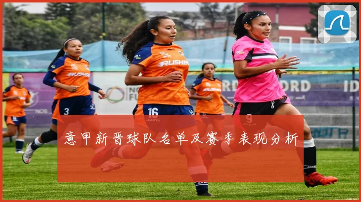意甲新晋球队名单及赛季表现分析