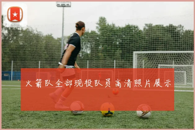 火箭队全部现役队员高清照片展示