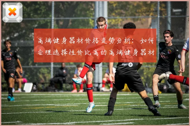 高端健身器材价格走势分析:如何合理选择性价比高的高端健身器材