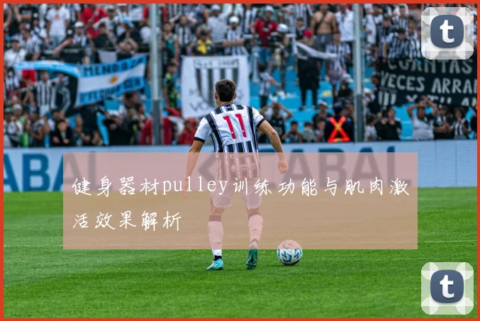 健身器材pulley训练功能与肌肉激活效果解析