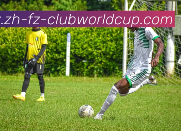 世界杯官网平台生态图