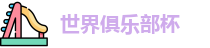 2025世界俱乐部杯